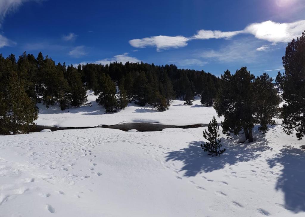 Chalet La Campagnette Eyne Kültér fotó